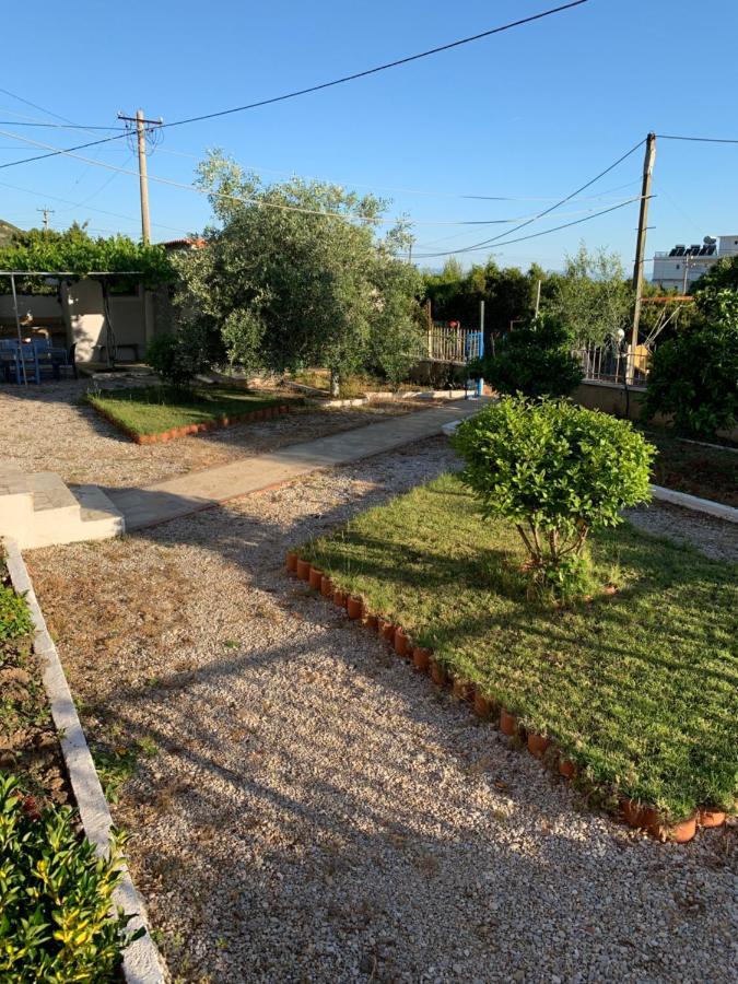 Guesthouse Rondo Χειμάρρα Εξωτερικό φωτογραφία