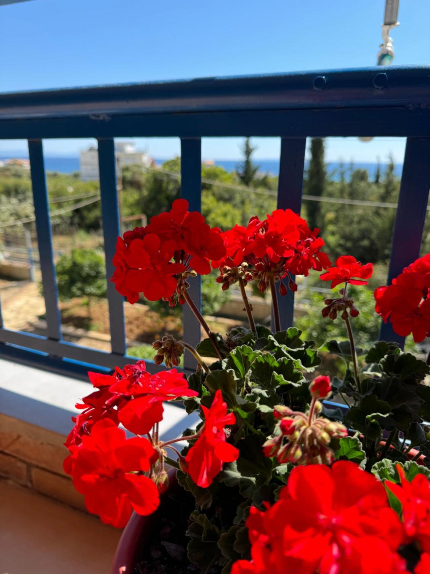 Guesthouse Rondo Χειμάρρα Εξωτερικό φωτογραφία