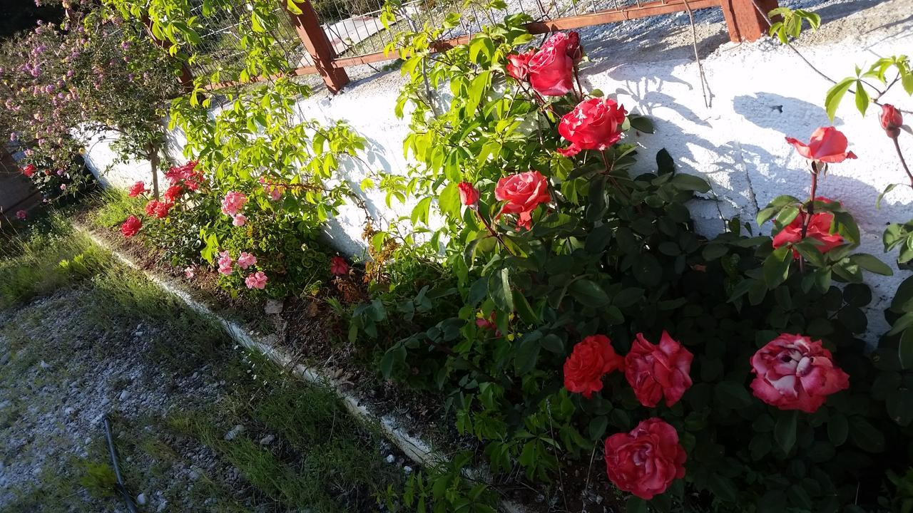 Guesthouse Rondo Χειμάρρα Εξωτερικό φωτογραφία